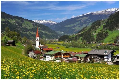 Outdoor Pictures 20