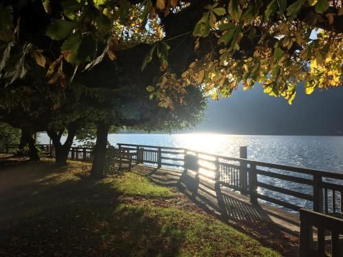 Outdoor Pictures 21