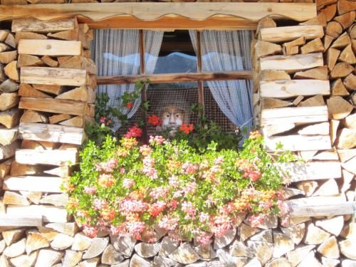 Outdoor Pictures 1