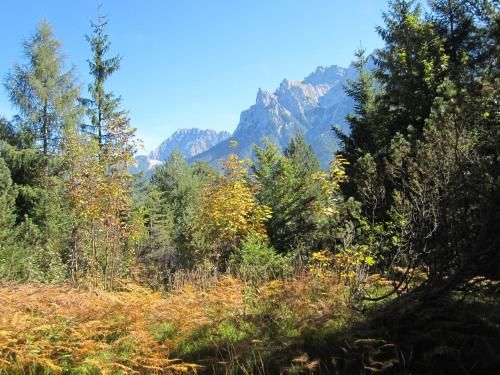 Outdoor Pictures 7