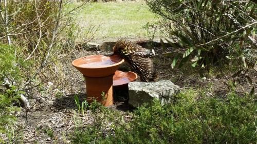 Outdoor Pictures 13