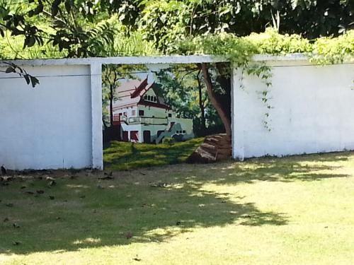 Outdoor Pictures 21