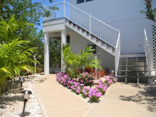 Outdoor Pictures 24