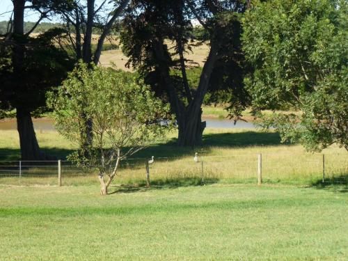 Outdoor Pictures 21