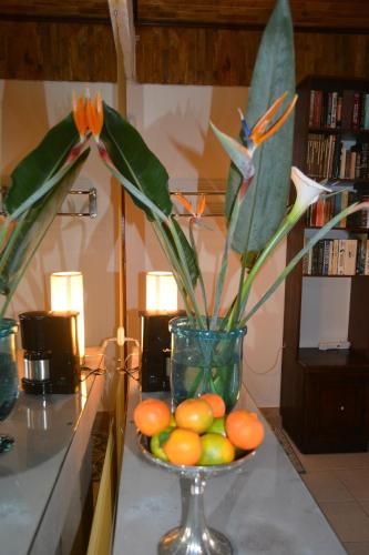 Finca Paraiso Mountain Retreat near San Jose Airport