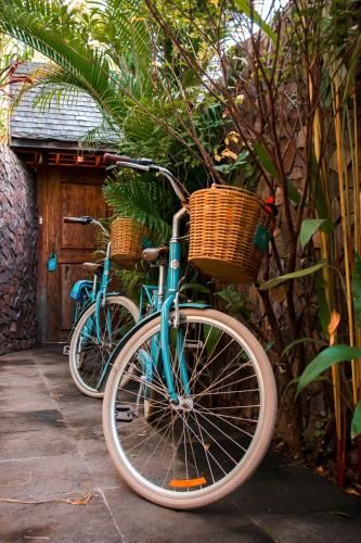 Outdoor Pictures 23