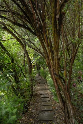 Outdoor Pictures 22