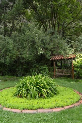 Outdoor Pictures 21