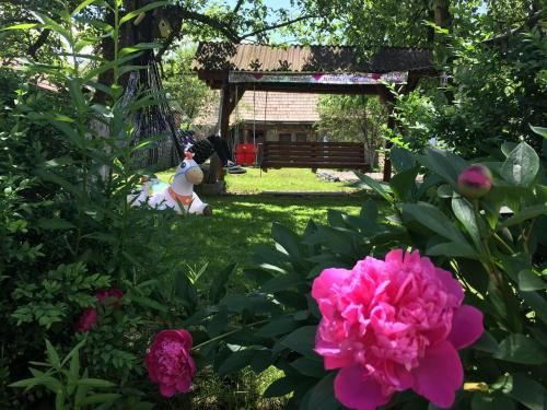Outdoor Pictures 15