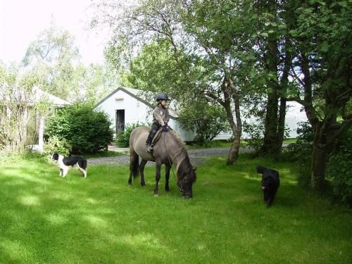 Outdoor Pictures 10