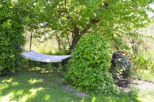 Outdoor Pictures 18
