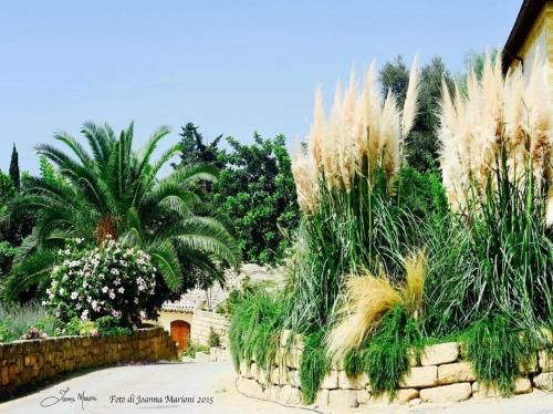Outdoor Pictures 22