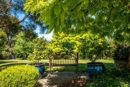 Outdoor Pictures 20