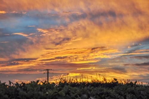 Outdoor Pictures 19