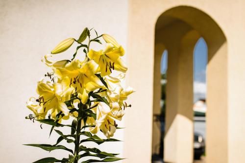Outdoor Pictures 23