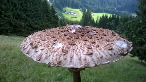 Outdoor Pictures 18