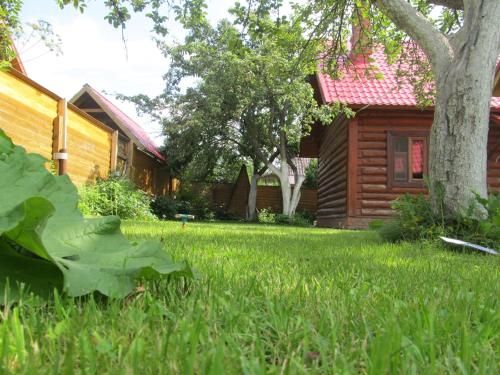 Outdoor Pictures 3