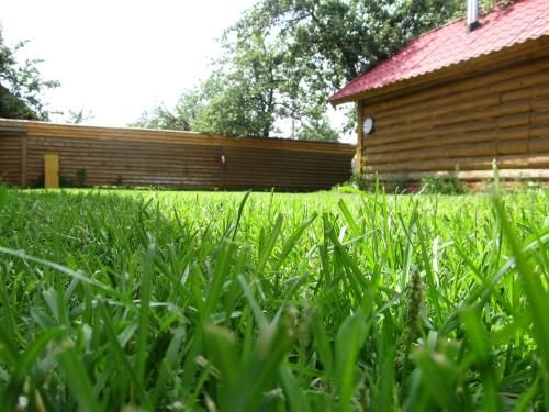 Outdoor Pictures 4