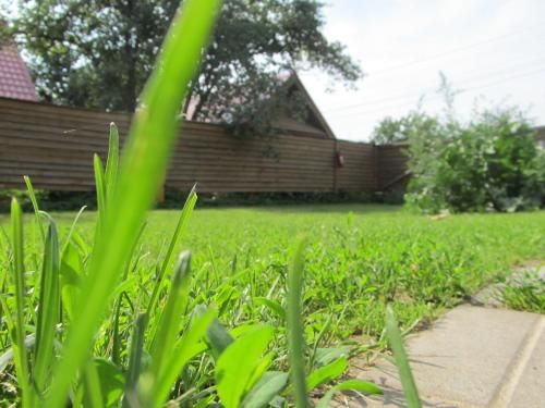 Outdoor Pictures 11