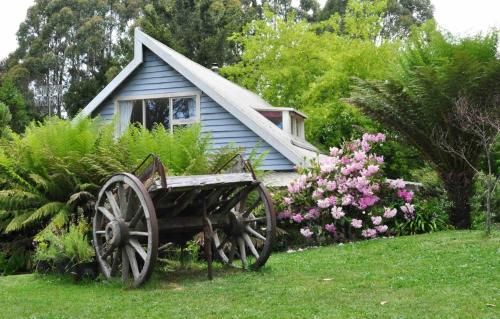 Outdoor Pictures 23