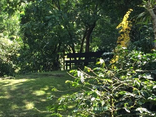 Outdoor Pictures 18