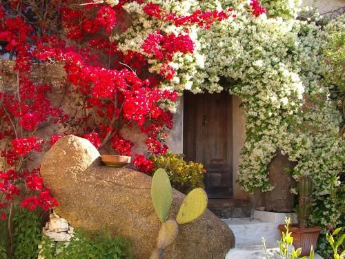Outdoor Pictures 17