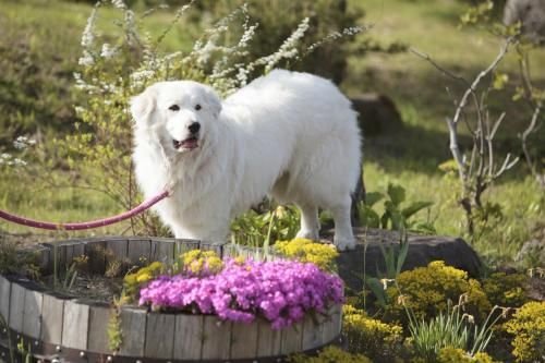 Outdoor Pictures 22