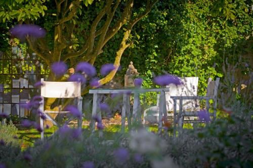Outdoor Pictures 7