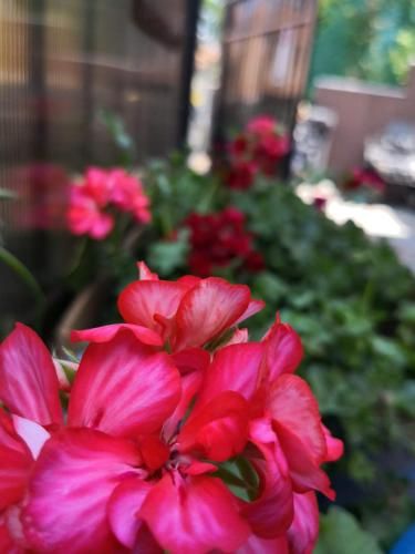 Outdoor Pictures 19