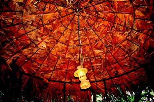 Outdoor Pictures 22