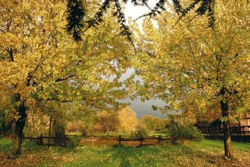 Outdoor Pictures 23