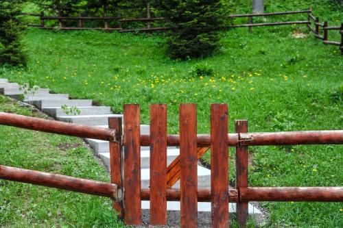 Outdoor Pictures 16