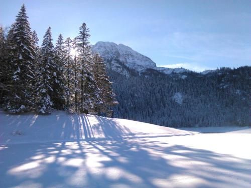 Outdoor Pictures 24
