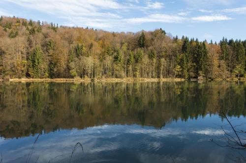 Outdoor Pictures 15