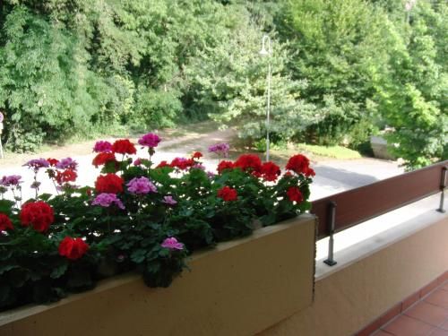 Outdoor Pictures 22