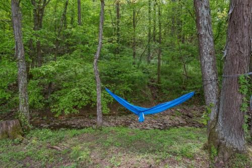 Outdoor Pictures 24