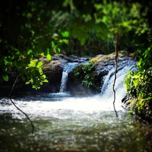 Camping e Pousada Paiol