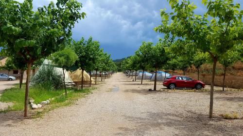 Outdoor Pictures 21