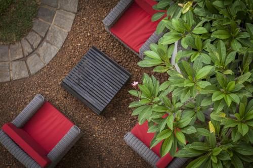 Outdoor Pictures 20