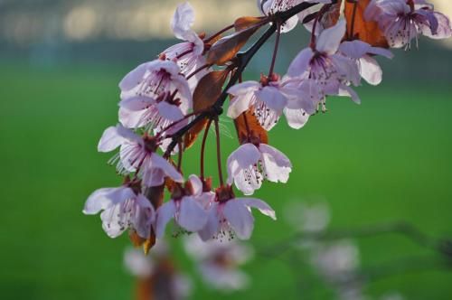 Outdoor Pictures 22