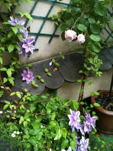 Outdoor Pictures 23