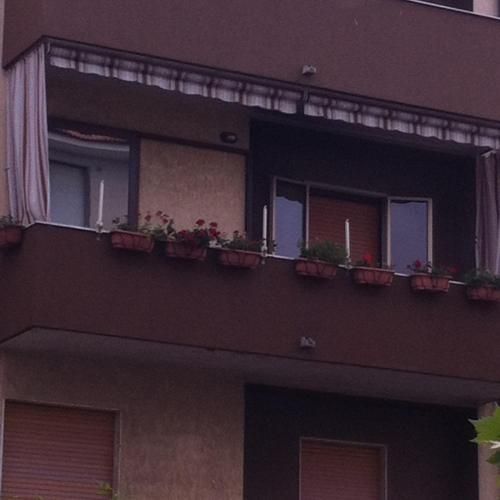 Outdoor Pictures 1