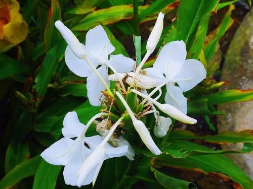 Outdoor Pictures 23