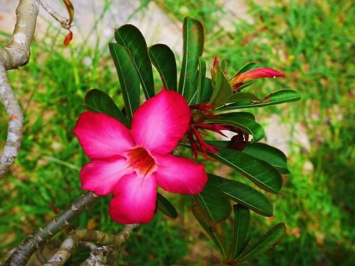 Outdoor Pictures 24