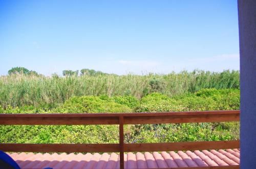 Outdoor Pictures 16