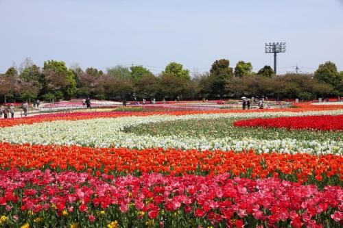 Outdoor Pictures 21