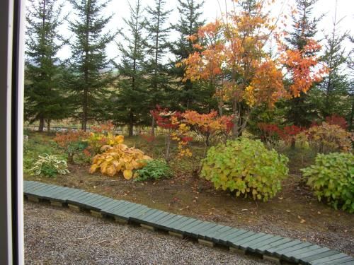 Outdoor Pictures 17