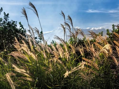 Outdoor Pictures 20