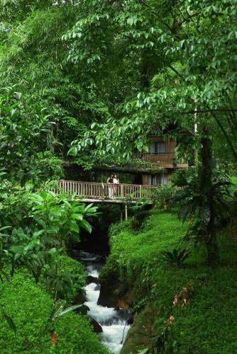 Rios Tropicales Lodge