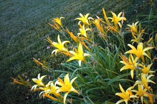 Outdoor Pictures 21